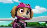Revoir Paw patrol, la pat'patrouille du 17 Juin