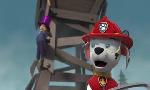 Revoir Paw patrol, la pat'patrouille du 19 Juin