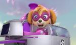 Revoir Paw patrol, la pat'patrouille du 19 Juin