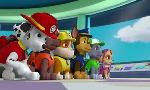 Revoir Paw patrol, la pat'patrouille du 23 Juin