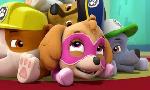 Revoir Paw patrol, la pat'patrouille du 23 Juin