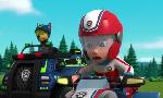 Revoir Paw patrol, la pat'patrouille du 25 Juin
