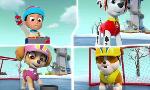 Revoir Paw patrol, la pat'patrouille du 25 Juin