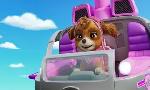 Revoir Paw patrol, la pat'patrouille du 28 Juin