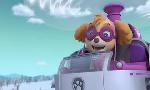 Revoir Paw patrol, la pat'patrouille du 29 Juin