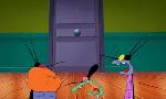 Revoir Oggy et les cafards du 01 Juillet