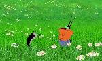 Revoir Oggy et les cafards du 01 Juillet