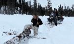Revoir Seuls face � l'alaska du 01 Juillet