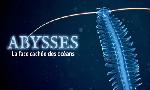 Revoir Abysses, la face cach�e des oc�ans du 04 Juillet