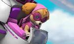 Revoir Paw patrol, la pat'patrouille du 05 Juillet
