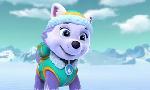Revoir Paw patrol, la pat'patrouille du 05 Juillet