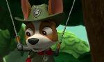 Revoir Paw patrol, la pat'patrouille du 06 Juillet
