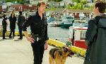 Revoir Hudson et rex du 06 Juillet