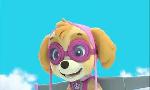 Revoir Paw patrol, la pat'patrouille du 07 Juillet