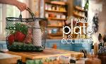 Revoir Petits plats en �quilibre du 08 Juillet