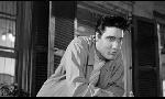 Revoir Epic: elvis presley in concert du 09 Juillet
