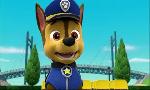Revoir Paw patrol, la pat'patrouille du 10 Juillet