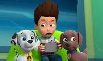 Revoir Paw patrol, la pat'patrouille du 12 Juillet