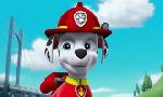 Revoir Paw patrol, la pat'patrouille du 12 Juillet