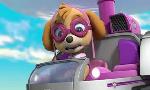 Revoir Paw patrol, la pat'patrouille du 13 Juillet