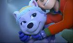 Revoir Paw patrol, la pat'patrouille du 13 Juillet