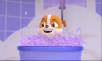 Revoir Paw patrol, la pat'patrouille du 15 Juillet
