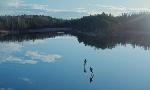 Revoir Au coeur de la scandinavie du 15 Juillet