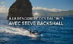 Revoir A la rencontre des baleines avec steve backshall du 16 Juillet