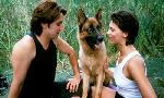 Revoir Rex, chien flic du 17 Juillet