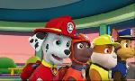 Revoir Paw patrol, la pat'patrouille du 20 Juillet