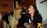 Revoir Rex, chien flic du 20 Juillet