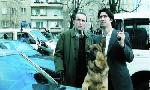Revoir Rex, chien flic du 20 Juillet