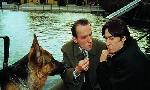 Revoir Rex, chien flic du 21 Juillet