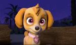Revoir Paw patrol, la pat'patrouille du 22 Juillet