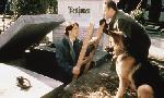 Revoir Rex, chien flic du 22 Juillet