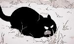 Revoir Putain de chat du 22 Juillet
