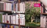 Revoir La p'tite librairie du 23 Juillet