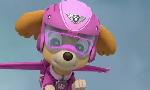 Revoir Paw patrol, la pat'patrouille du 24 Juillet