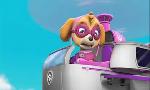 Revoir Paw patrol, la pat'patrouille du 24 Juillet