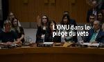 Revoir L?onu dans le pi�ge du veto du 27 Juillet