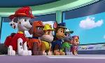 Revoir Paw patrol, la pat'patrouille du 28 Juillet