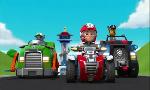 Revoir Paw patrol, la pat'patrouille du 28 Juillet