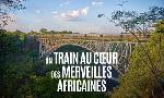Revoir De dar es salam aux chutes victoria du 28 Juillet