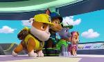 Revoir Paw patrol, la pat'patrouille du 29 Juillet