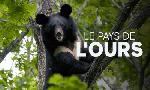 Revoir Le pays de l'ours du 29 Juillet