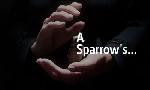 Revoir A sparrow's song du 30 Juillet
