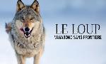 Revoir Le loup, un vagabond sans fronti�re du 30 Juillet