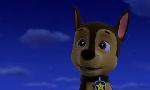 Revoir Paw patrol, la pat'patrouille du 31 Juillet