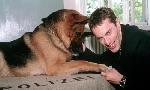 Revoir Rex, chien flic du 31 Juillet