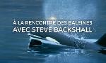 Revoir A la rencontre des baleines avec steve backshall du 31 Juillet